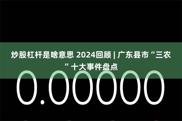 炒股杠杆是啥意思 2024回顾 | 广东县市“三农”十大事件盘点