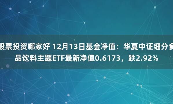 股票投资哪家好 12月13日基金净值：华夏中证细分食品饮料主题ETF最新净值0.6173，跌2.92%