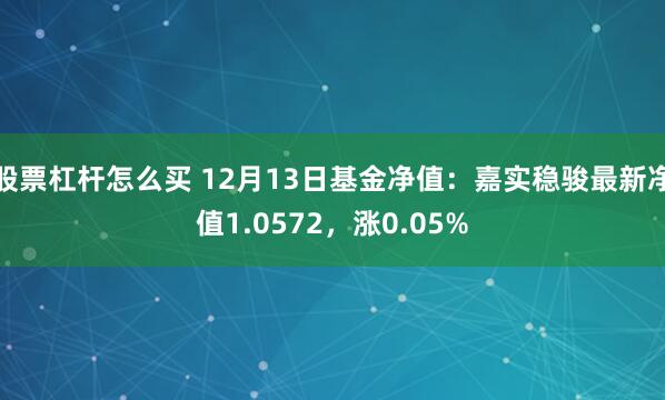 股票杠杆怎么买 12月13日基金净值：嘉实稳骏最新净值1.0572，涨0.05%