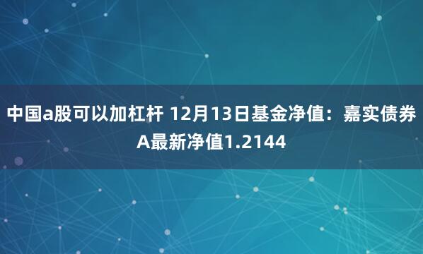 中国a股可以加杠杆 12月13日基金净值：嘉实债券A最新净值1.2144