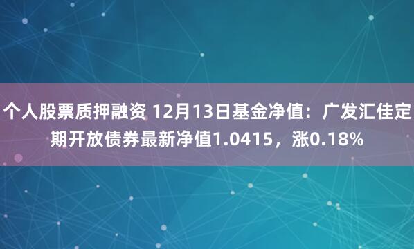 个人股票质押融资 12月13日基金净值：广发汇佳定期开放债券最新净值1.0415，涨0.18%