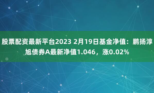 股票配资最新平台2023 2月19日基金净值：鹏扬淳旭债券A最新净值1.046，涨0.02%