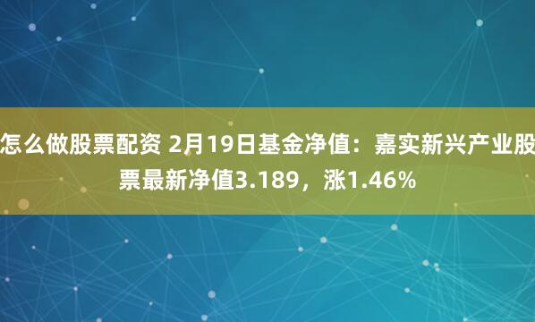 怎么做股票配资 2月19日基金净值：嘉实新兴产业股票最新净值3.189，涨1.46%