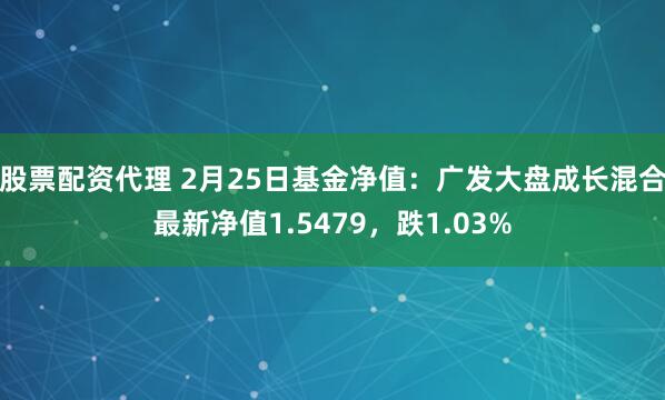 股票配资代理 2月25日基金净值：广发大盘成长混合最新净值1.5479，跌1.03%