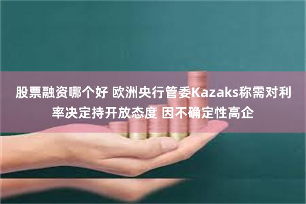 股票融资哪个好 欧洲央行管委Kazaks称需对利率决定持开放态度 因不确定性高企